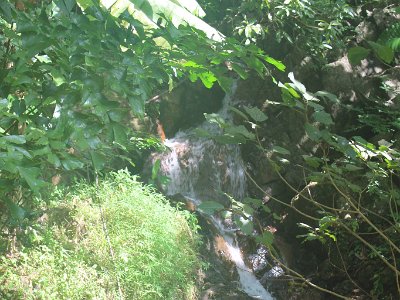 Phuket November 04 - 13, 2013